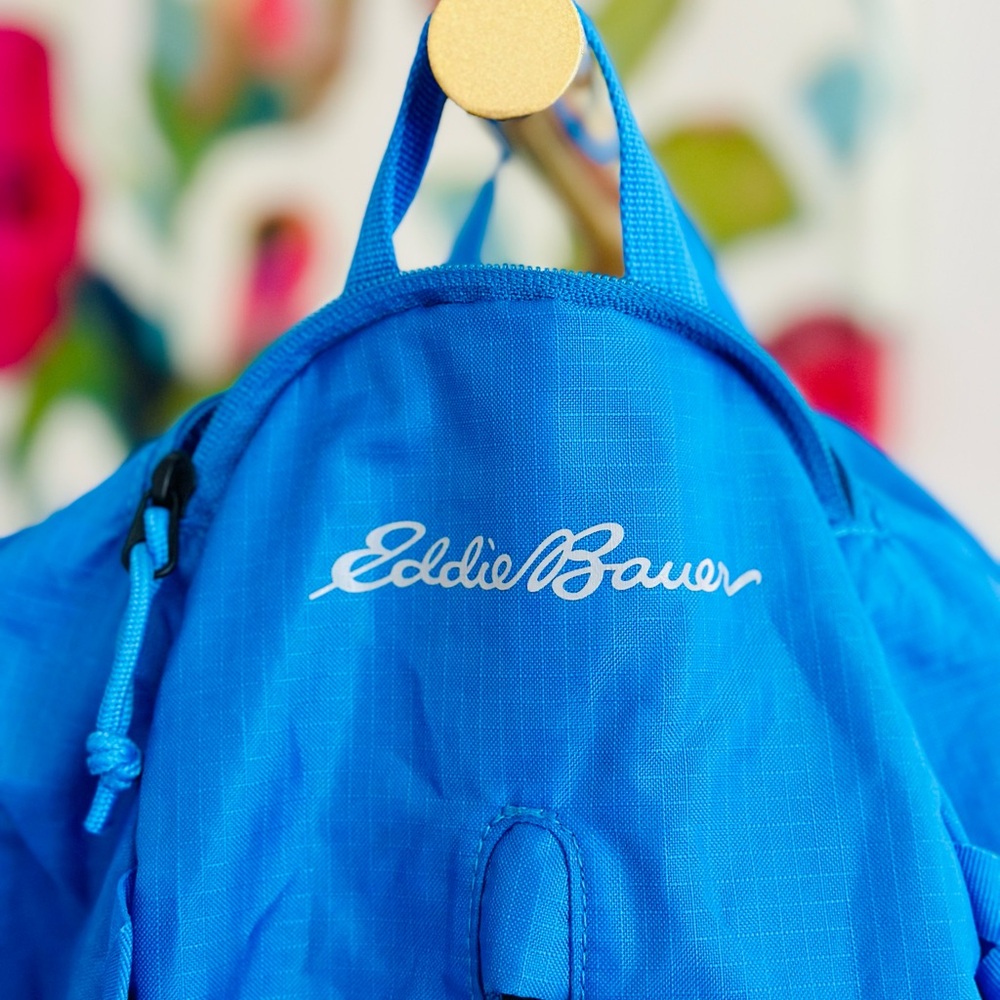 Eddie Bauer Stowaway Cobalt Blue Backpack